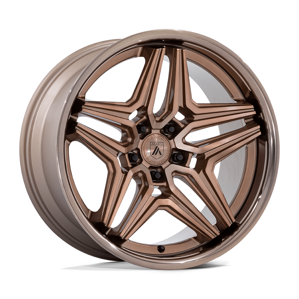 Asanti Black AB046 DUKE 22X10.5 PLATINUM BRONZE